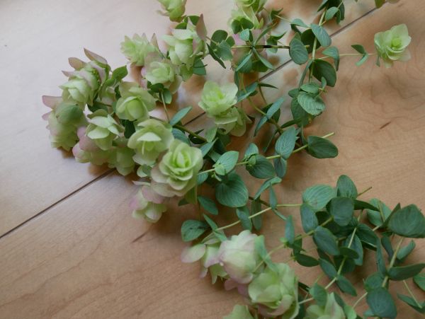 花を取り除いてドライフラワーにするオレガノケントビューティー
