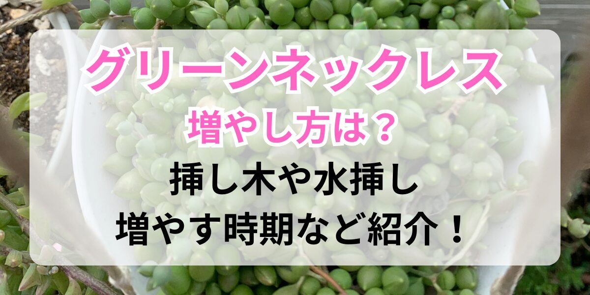 もりもりのグリーンネックレス